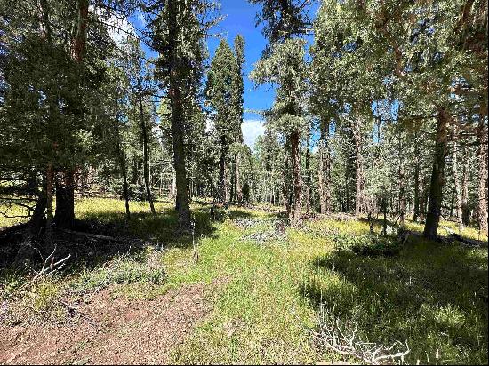 Lot 10 Alpine Lake Terrace, Angel Fire NM 87710