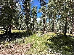 Lot 10 Alpine Lake Terrace, Angel Fire NM 87710