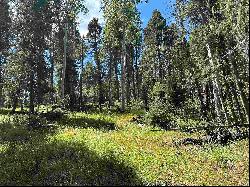 Lot 10 Alpine Lake Terrace, Angel Fire NM 87710