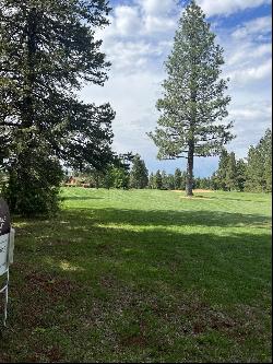 55 Creekhaven Drive, Lake Almanor CA 96137