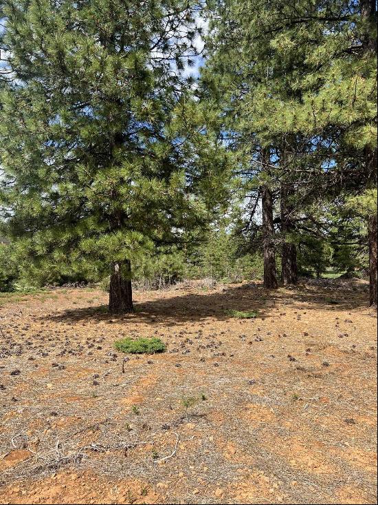 55 Creekhaven Drive, Lake Almanor CA 96137