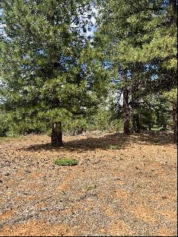 55 Creekhaven Drive, Lake Almanor CA 96137