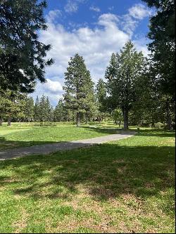 55 Creekhaven Drive, Lake Almanor CA 96137