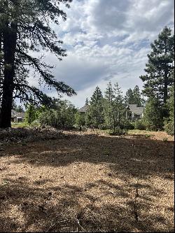 55 Creekhaven Drive, Lake Almanor CA 96137