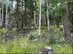 Lot 577 El Camino Real, Angel Fire NM 87710