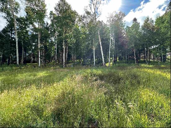 Lot 577 El Camino Real, Angel Fire NM 87710