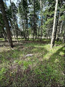 Lot 577 El Camino Real, Angel Fire NM 87710