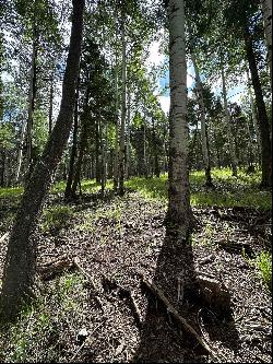 Lot 577 El Camino Real, Angel Fire NM 87710