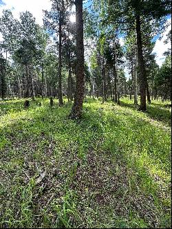 Lot 577 El Camino Real, Angel Fire NM 87710