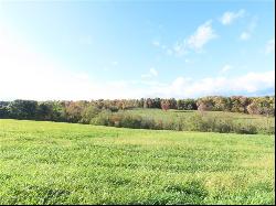 Lot #2 Wises Grove Road, New Brighton PA 15066