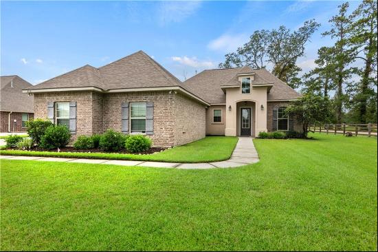 814 Lee Drive, Ponchatoula LA 70454