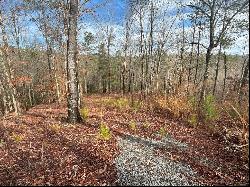 58 High River Crossing, Ellijay GA 30534