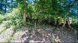 Lot 234 Appalachian Road, Radford VA 24141