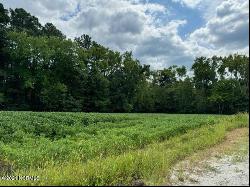 1560 Tulls Creek Road, Moyock NC 27958