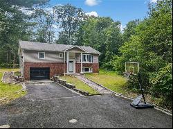 400 Carlton Road, Paradise Twp PA 18344