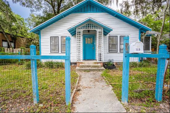 119 NW 11th Street, Gainesville FL 32601