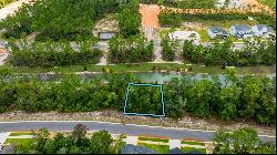 Lot 26 Spirit Bear Way, Freeport FL 32439