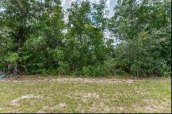 Lot 21 Spirit Bear Way, Freeport FL 32439