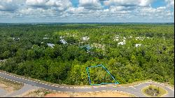 Lot 7 Hidden Hive Way, Freeport FL 32439