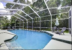 8 E Mimosa Court, Homosassa FL 34446