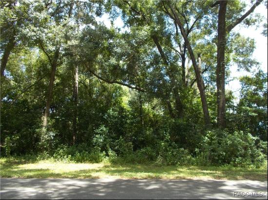 2449 W Fairway Loop, Citrus Springs FL 34434