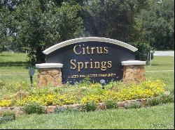 2449 W Fairway Loop, Citrus Springs FL 34434