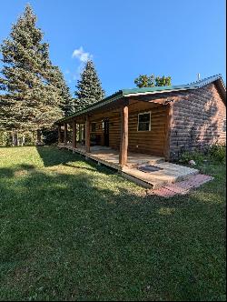 1723 Weir Road, Hale MI 48768