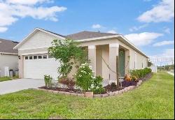 3047 Tansy Street, Tavares FL 32778