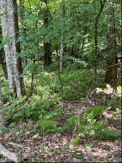 Lot 7 Sori Lane, Sapphire NC 28774