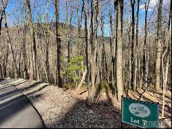 Lot 7 Sori Lane, Sapphire NC 28774