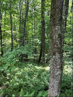 Lot 7 Sori Lane, Sapphire NC 28774