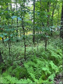 Lot 2 Frond Court, Sapphire NC 28774