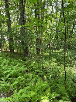 Lot 2 Frond Court, Sapphire NC 28774