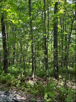 Lot 2 Frond Court, Sapphire NC 28774