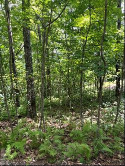 Lot 2 Frond Court, Sapphire NC 28774