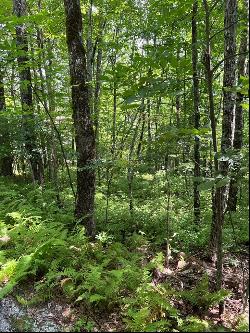 Lot 2 Frond Court, Sapphire NC 28774