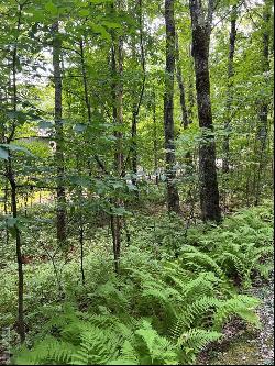 Lot 2 Frond Court, Sapphire NC 28774