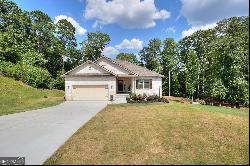 3276 Amberwood Drive, Loganville GA 30052