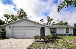 9614 Elgin Boulevard, Spring Hill FL 34606