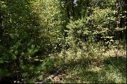 0 Ostin Creek Trail #Lot 2 F-3 S.1, Mill Spring NC 28756