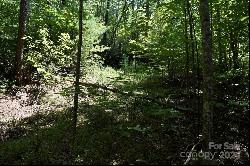 0 Ostin Creek Trail #Lot 2 F-3 S.1, Mill Spring NC 28756