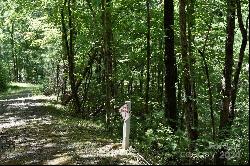 Ostin Creek Trail Lot 2 F-3 S.1, Mill Spring NC 28756