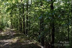 0 Ostin Creek Trail #Lot 2 F-3 S.1, Mill Spring NC 28756