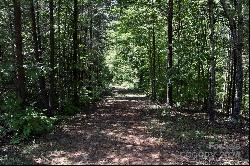 0 Ostin Creek Trail #Lot 2 F-3 S.1, Mill Spring NC 28756