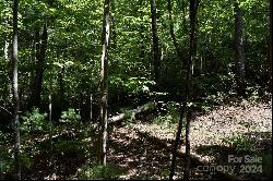 0 Ostin Creek Trail #Lot 2 F-3 S.1, Mill Spring NC 28756