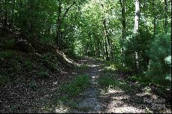 0 Ostin Creek Trail #Lot 2 F-3 S.1, Mill Spring NC 28756