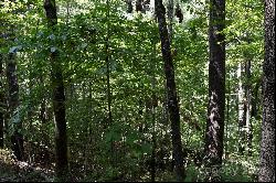 Ostin Creek Trail Lot 2 F-3 S.1, Mill Spring NC 28756