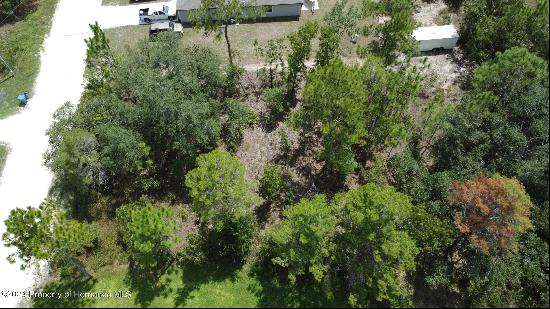 14477 Hawk Road, Weeki Wachee FL 34614