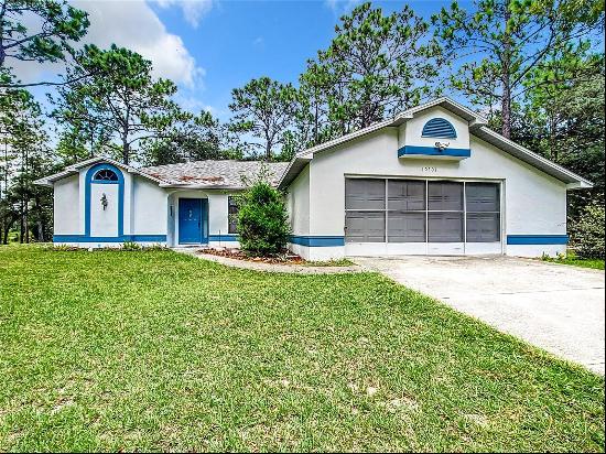 10401 Yellowlegs Avenue, Weeki Wachee FL 34614