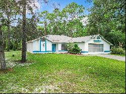 10401 Yellowlegs Avenue, Weeki Wachee FL 34614